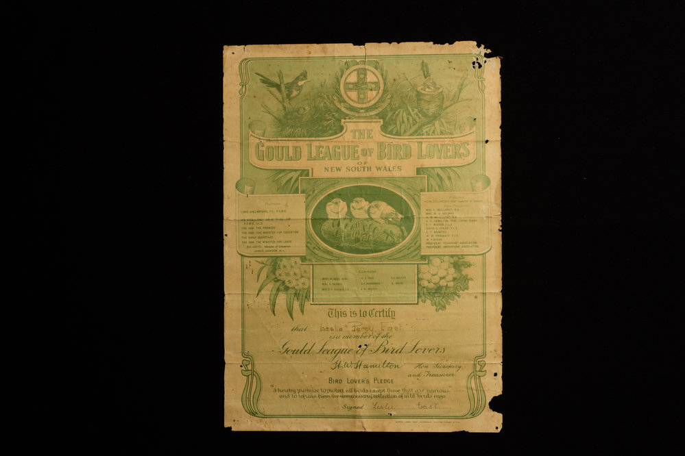 The Gould League of Bird Lovers of New South Wales Certificate of Membership