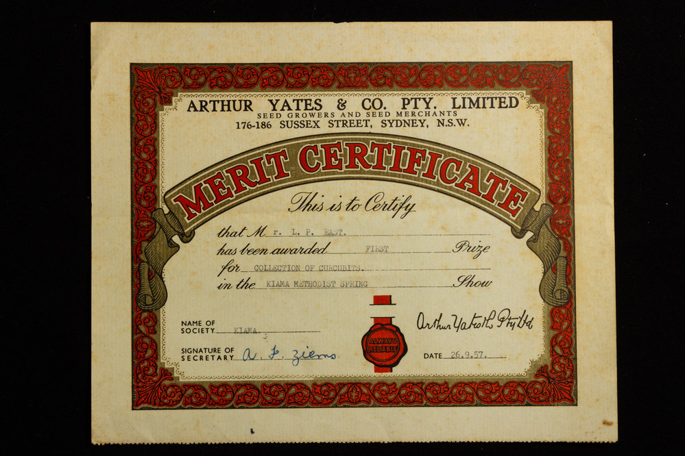 Merit Certificate