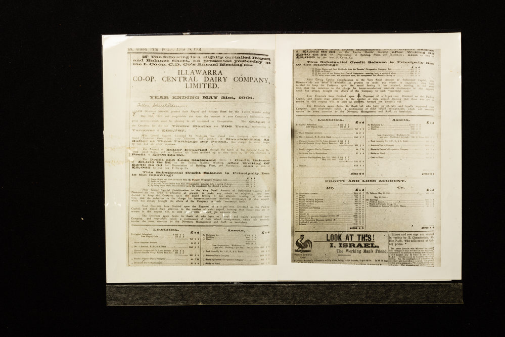 Illawarra Cooperative Central Dairy Society Collection Of Annual Reports And Balance Sheets