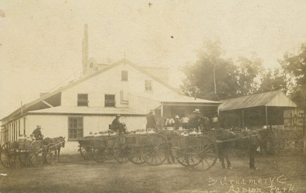 Postcard Creamery Albion Park
