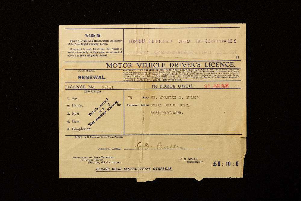Motor Vehicle Driver's Licence