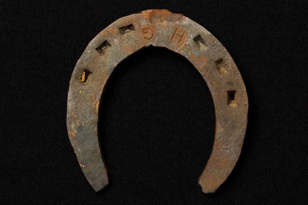 Horse Shoe (Shetland Pony)