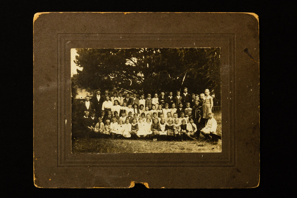 Albion Park School