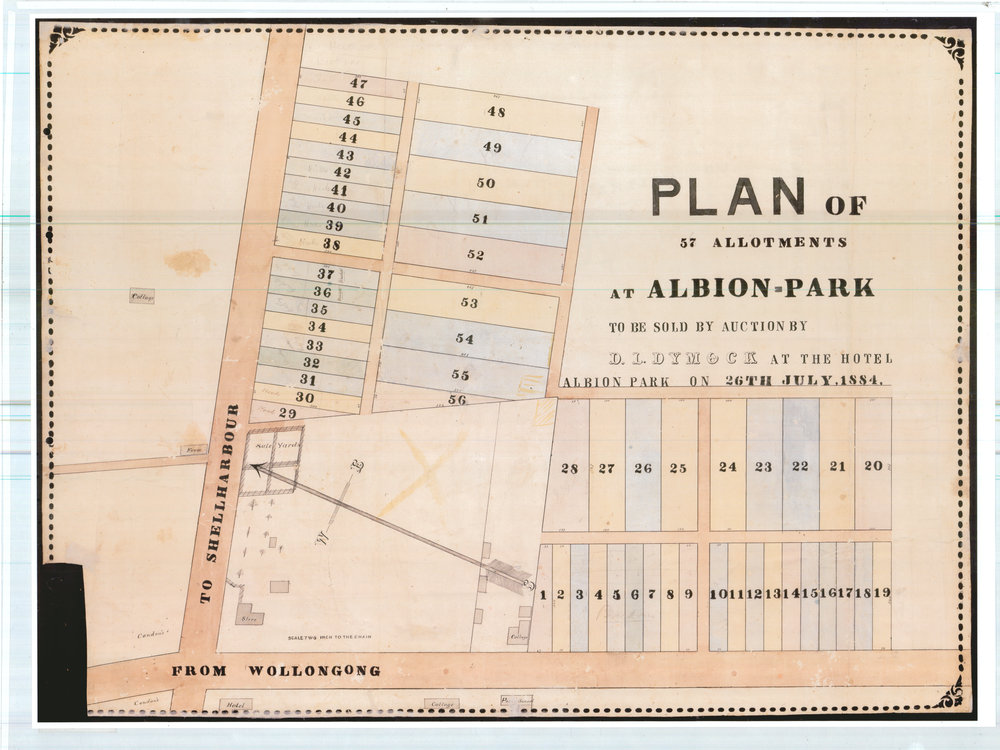 Plan of Albion Park Allotments 1884
