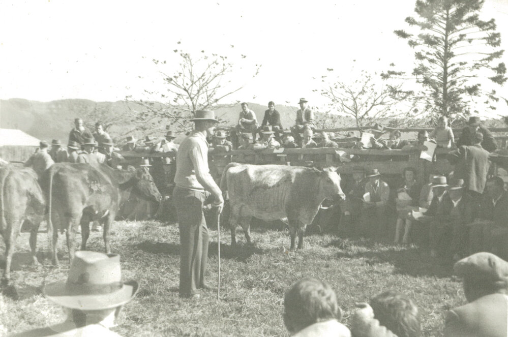 Roy O'Gorman's Clearing Out Sale