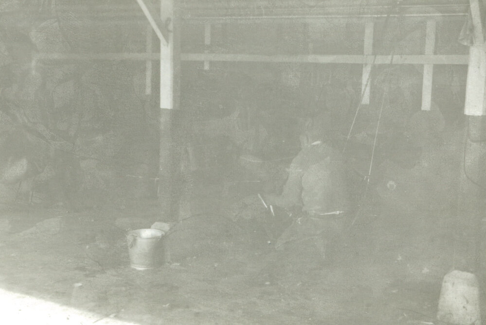 Milking Bales, Roy O'Gorman's Farm
