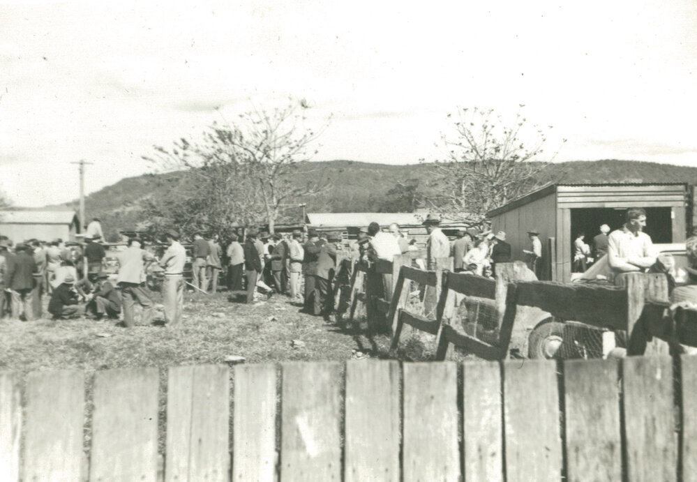 Roy O'Gorman's Clearing Out Sale