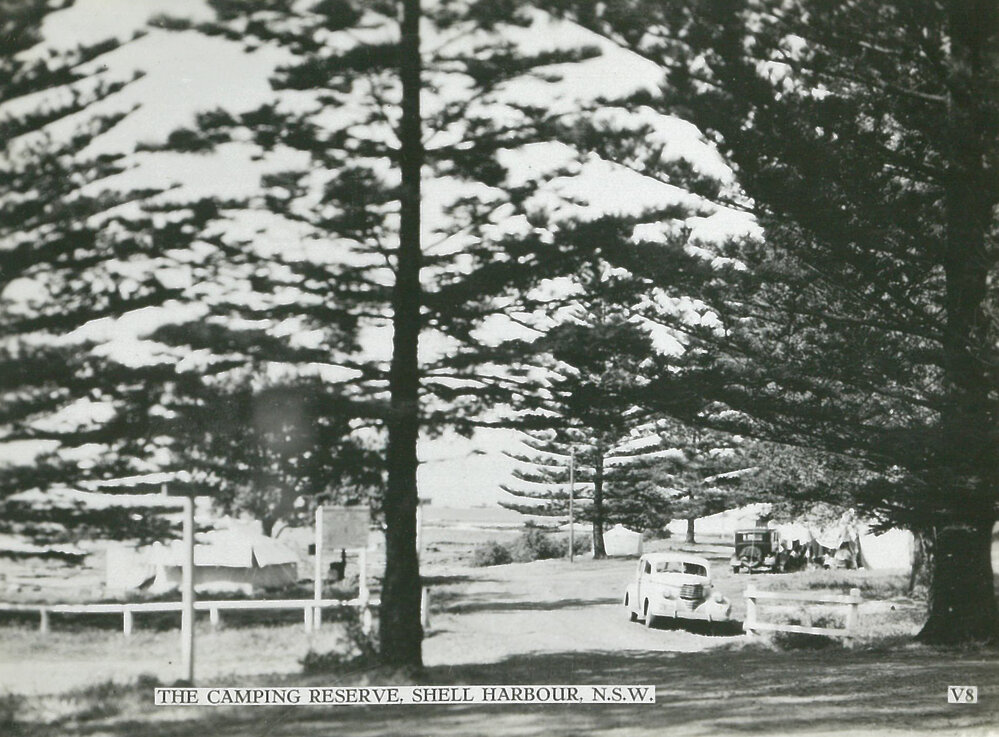 The Camping Reserve, Shellharbour
