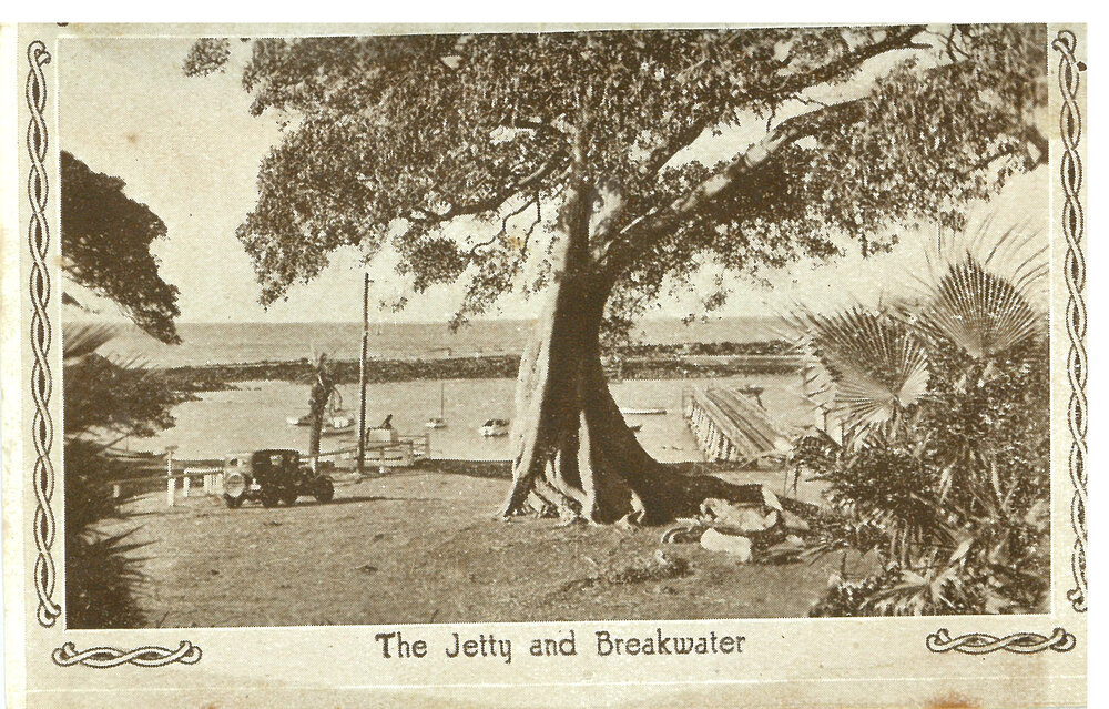 Postcard Booklet of Shellharbour