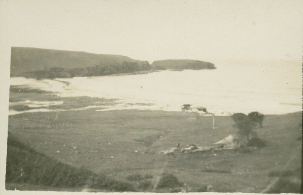 'Seaview', Killalea