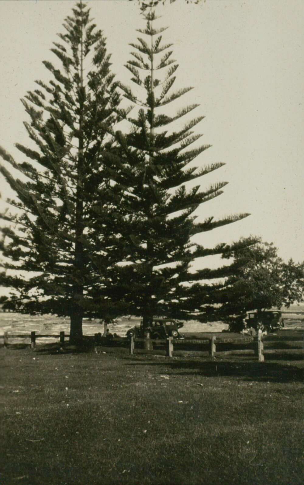 Shellharbour Foreshore