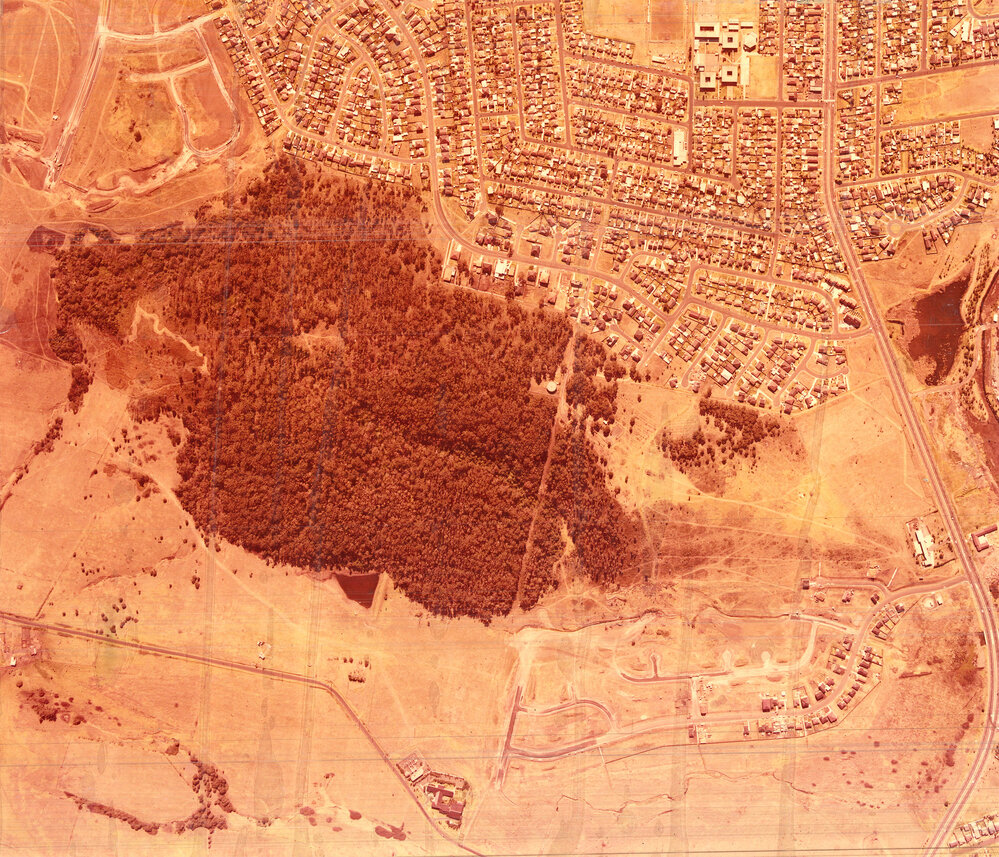 Blackbutt Estate Development