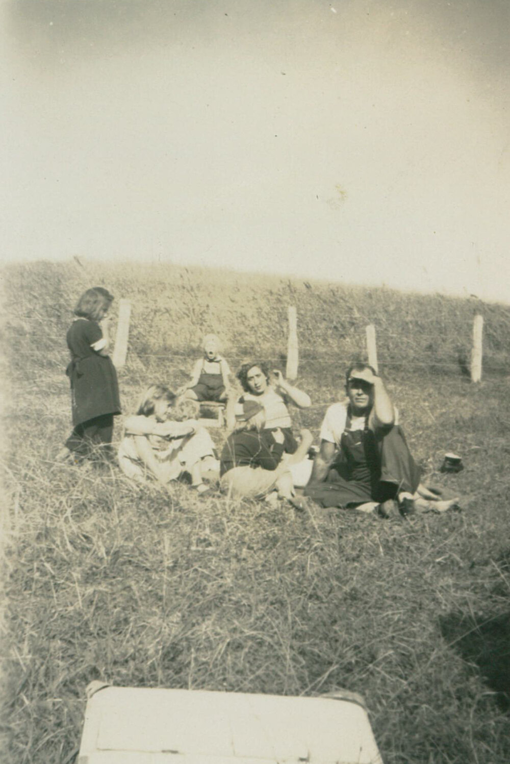 Ferreting at Albion Park