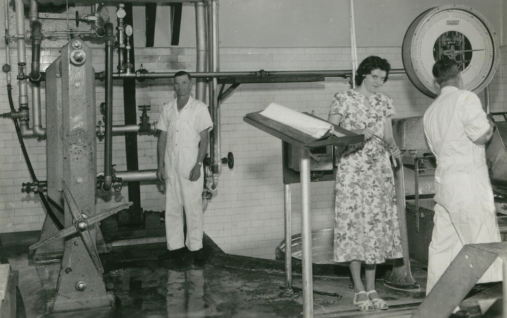Audrey Jones testing milk at the Illawarra Cooperative Central Dairy factory