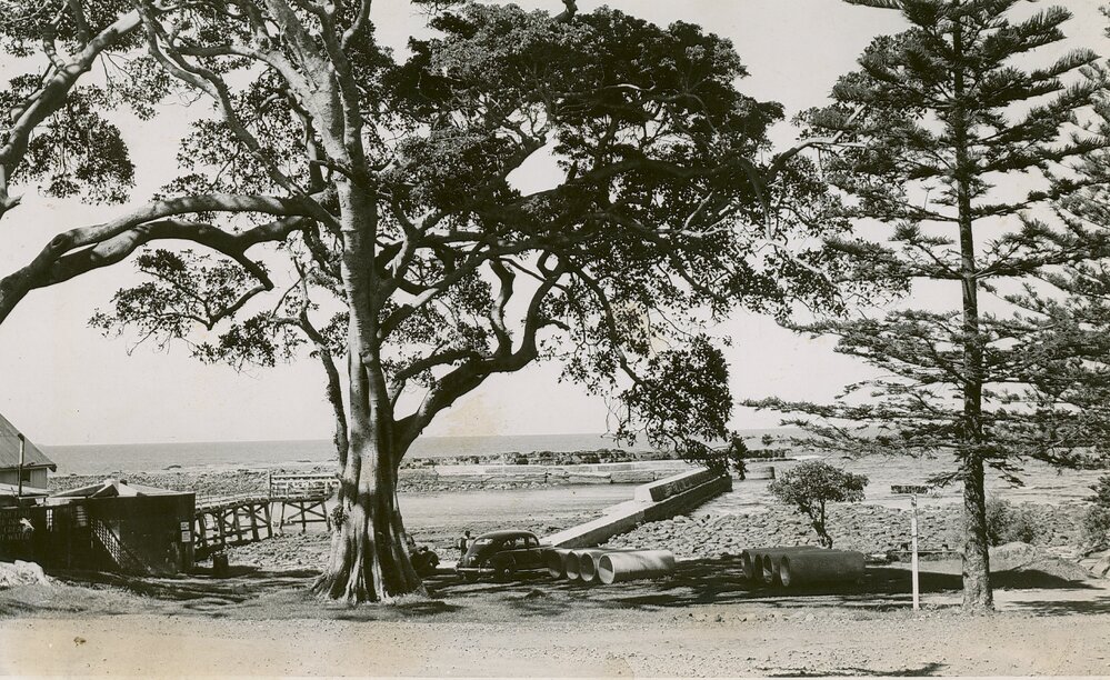 Shellharbour Harbour