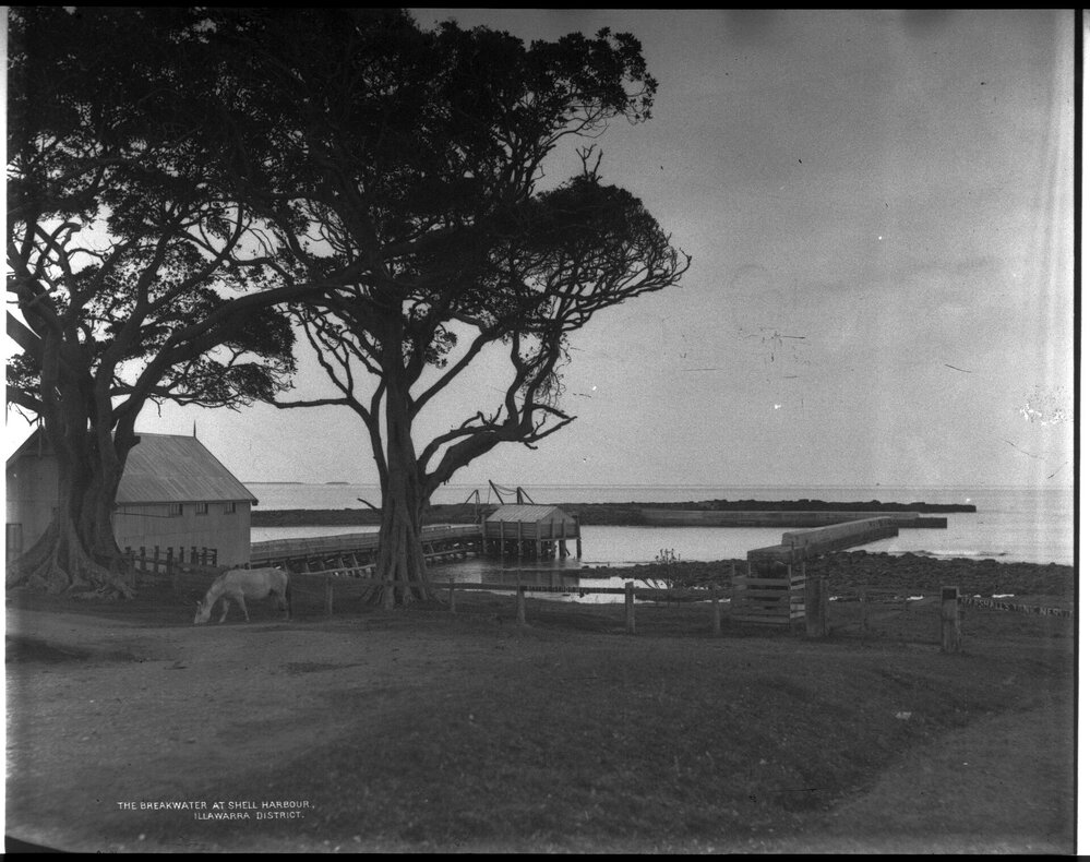 The Breakwater at Shellharbour