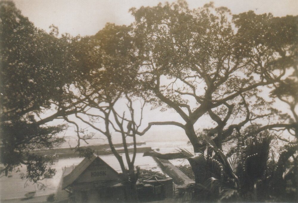 Shellharbour Harbour 