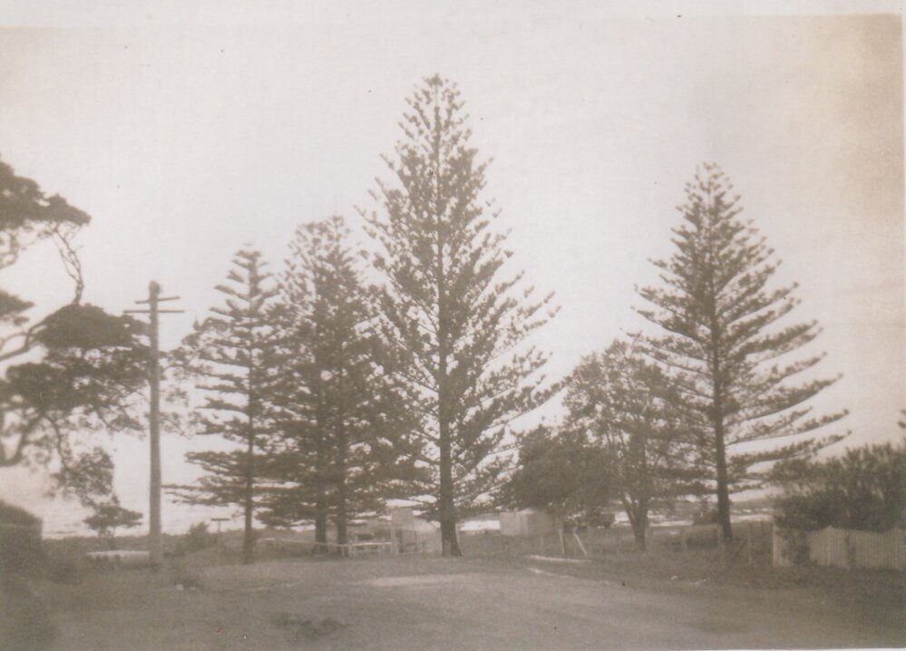 Addison Street, Shellharbour