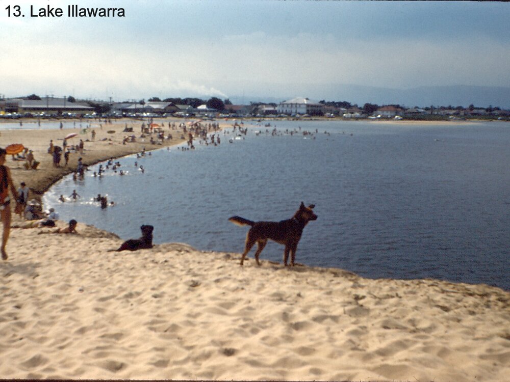 Lake Illawarra South