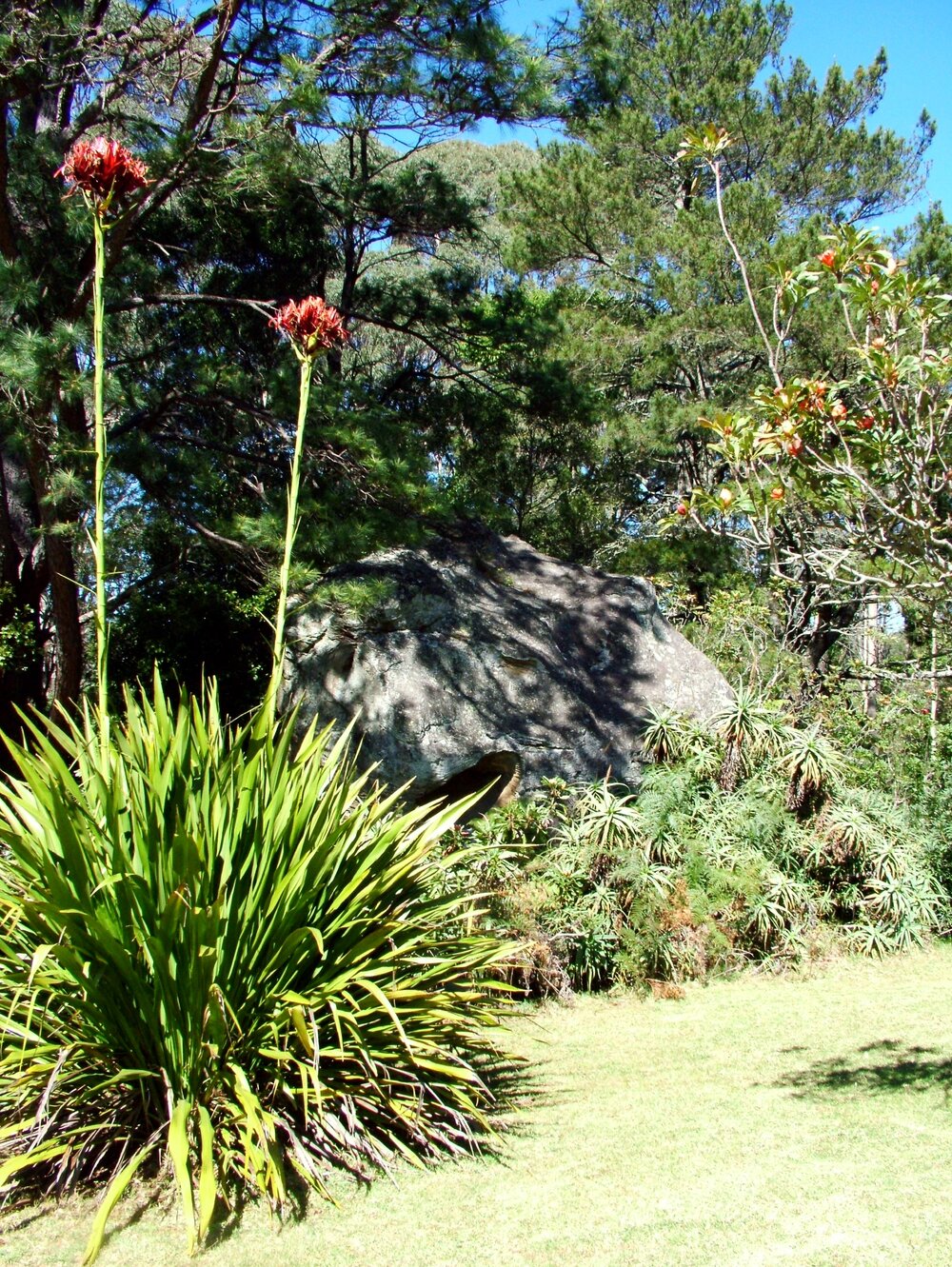 Garden at Nurrewin
