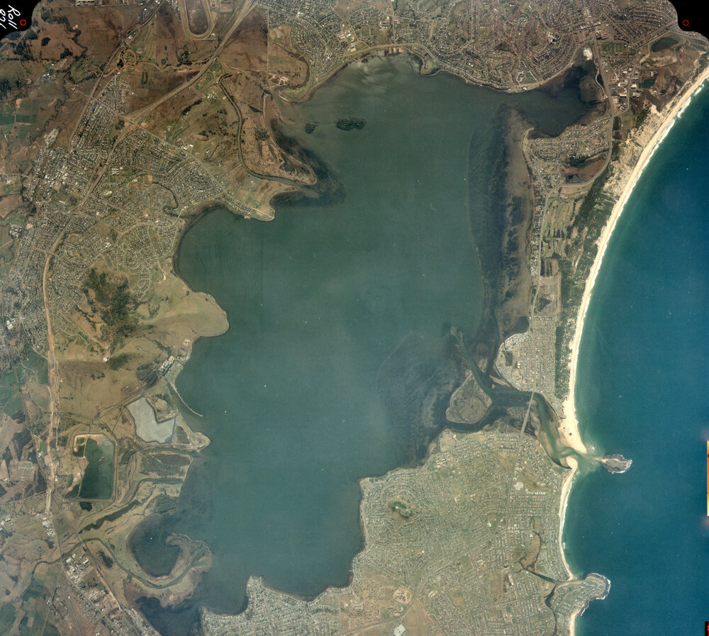 Lake Illawarra Aerial