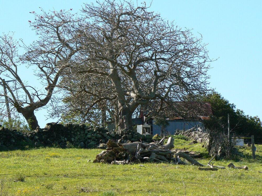 Former Seymour Family Farm