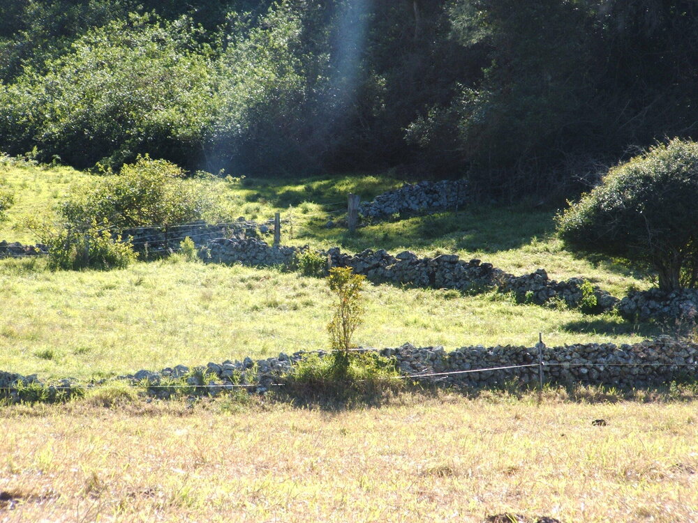 Browns Road, Dunmore