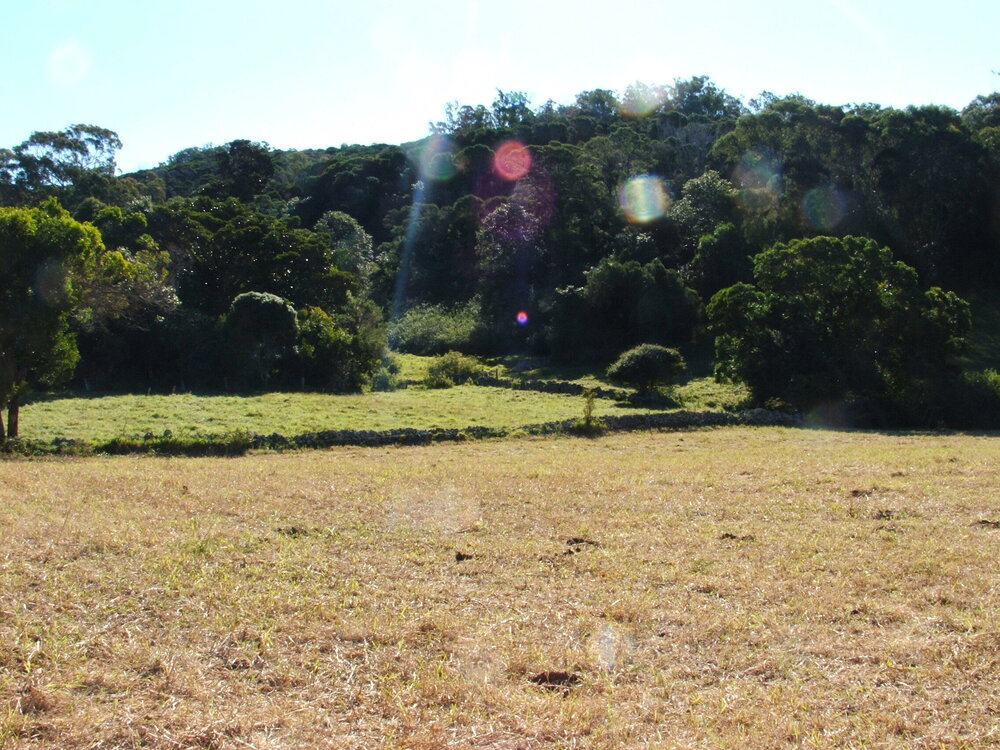 Browns Road, Dunmore