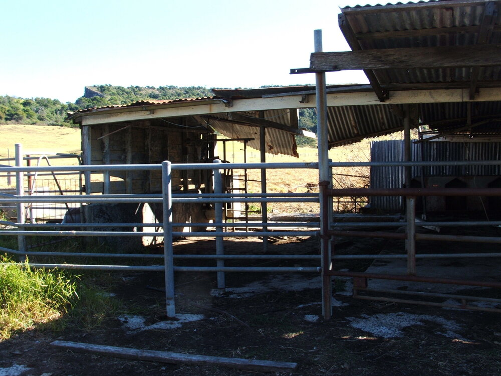 'Glanworth' Farm, Dunmore