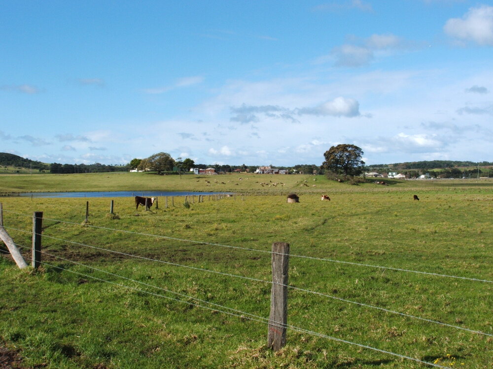 Kings Farm from 'Nancyville', Dunmore