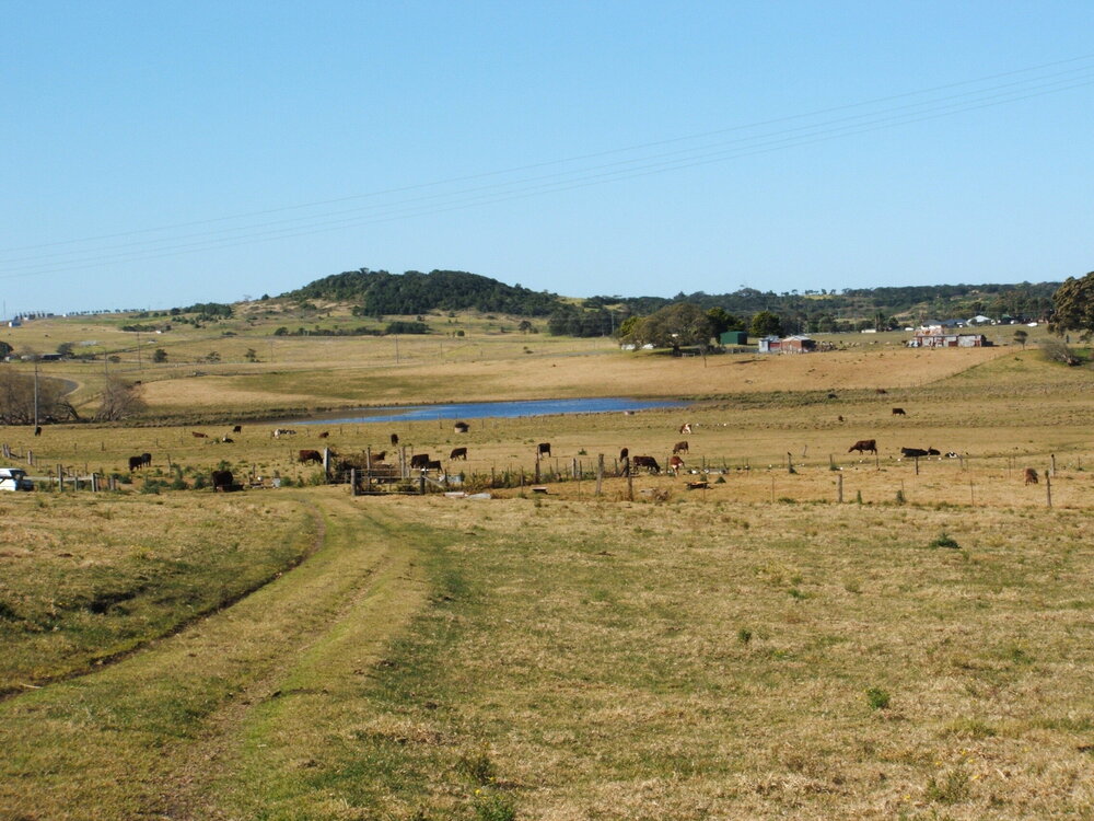 The View From 'Nancyville' Farm, Dunmore, to Condon's Hill