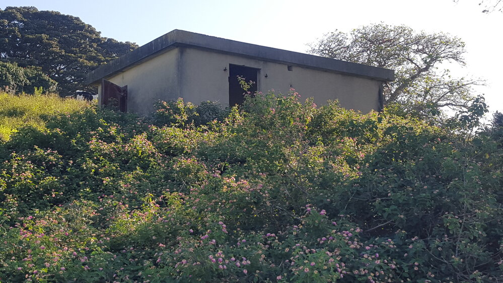 Bottom Spotter's Box, Dunster's Hill