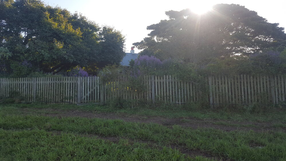 Dunster's Hill