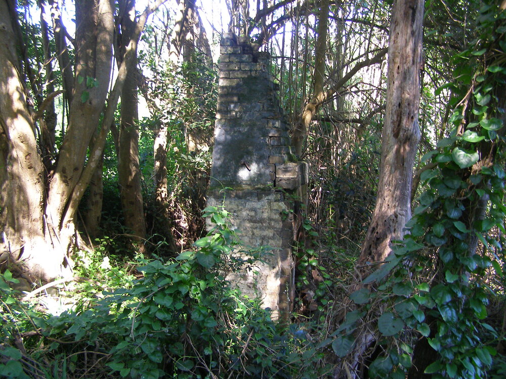 Tongarra Creamery (Butter Factory) Ruins