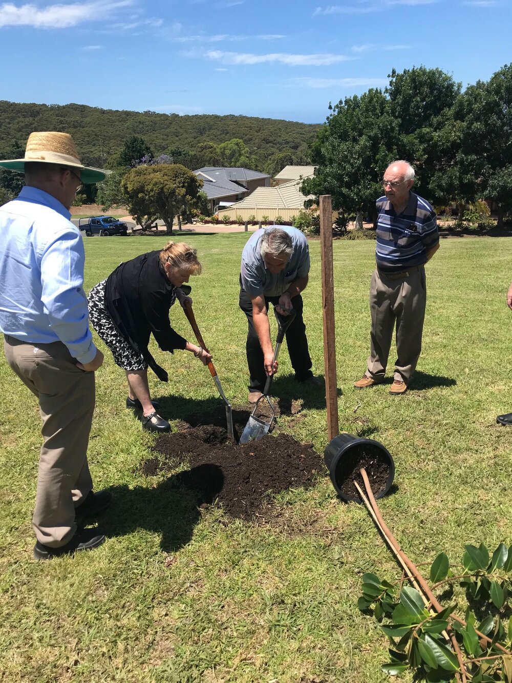 Planting Fig Tree in Shipman's Park