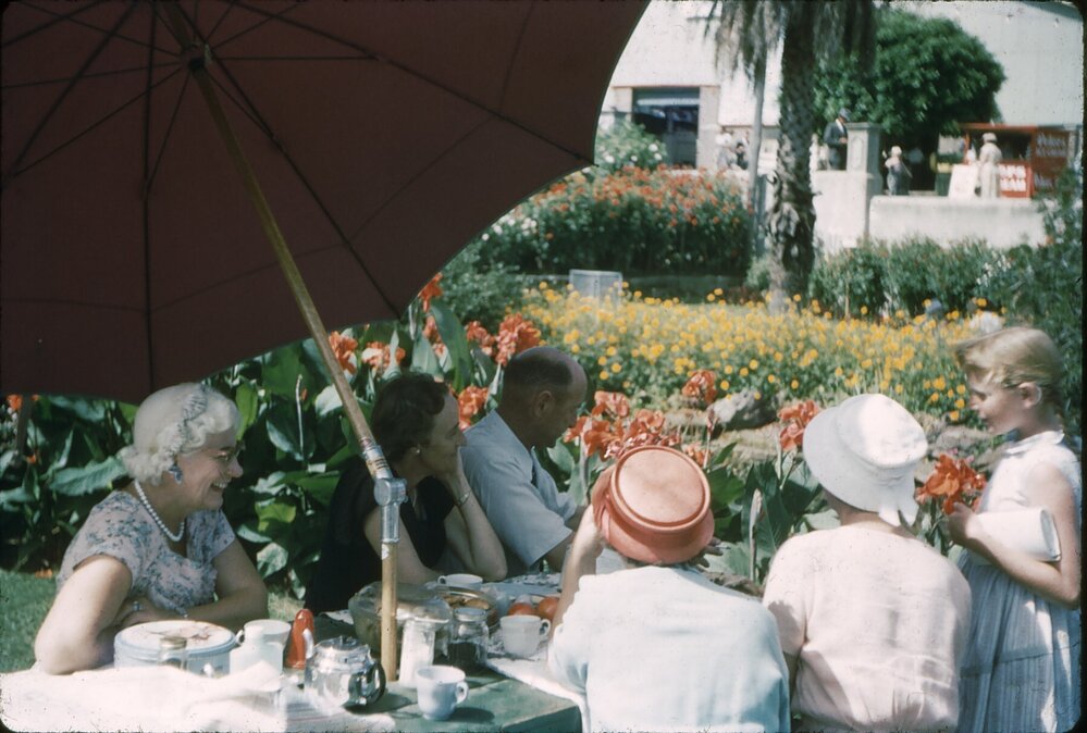 The Royal Agricultural Show