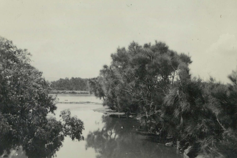 Little Lake 1950