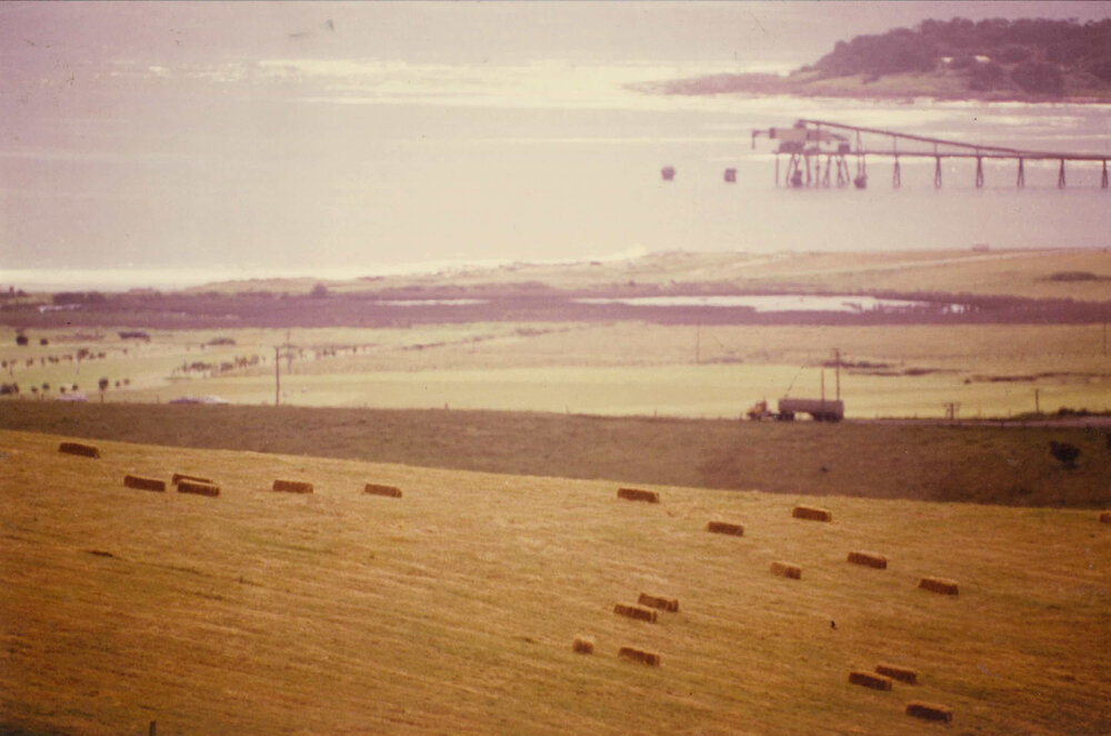 Site of Shell Cove