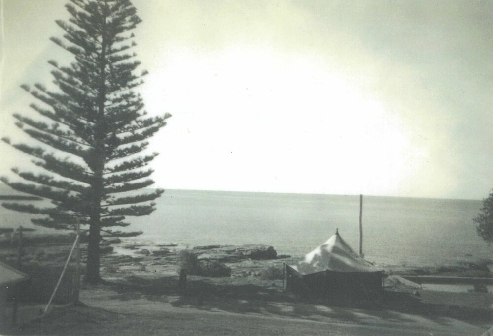 Shellharbour Village