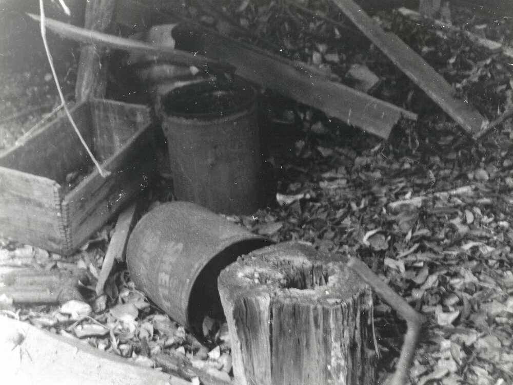Tongarra Mine Inspection