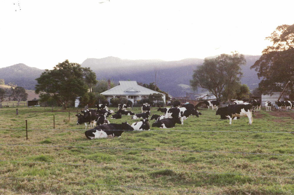 'Fairview', Marshall Mount