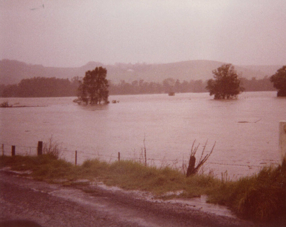 Dunmore Swamp