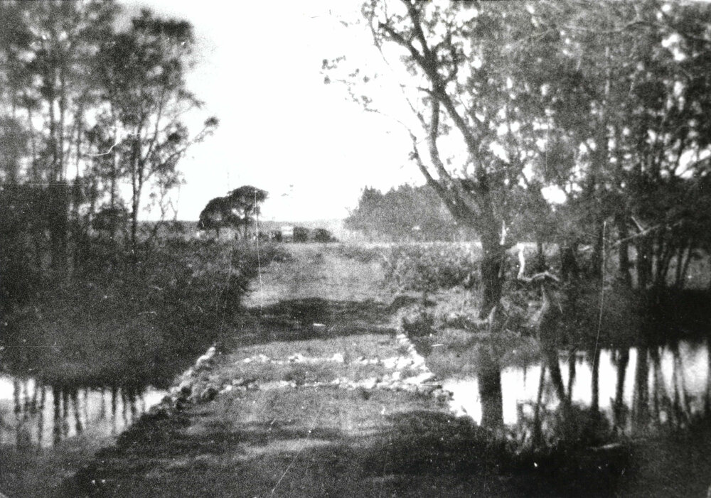 Causeway over The Esplanade, Oak Flats