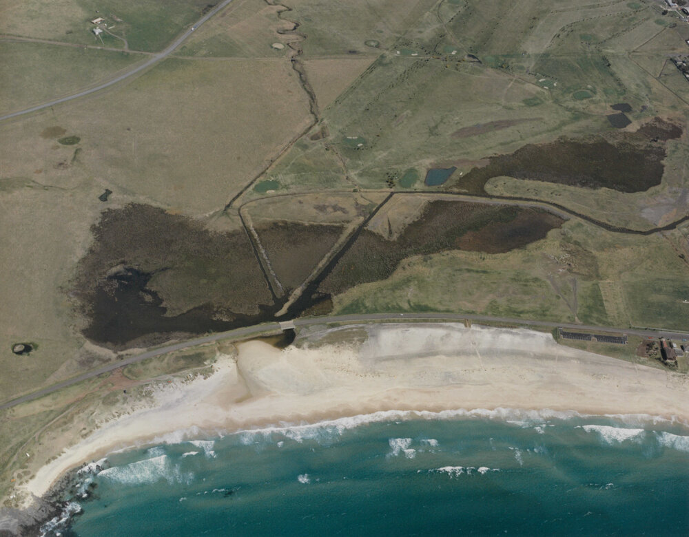 Shellharbour South Beach and Swamp