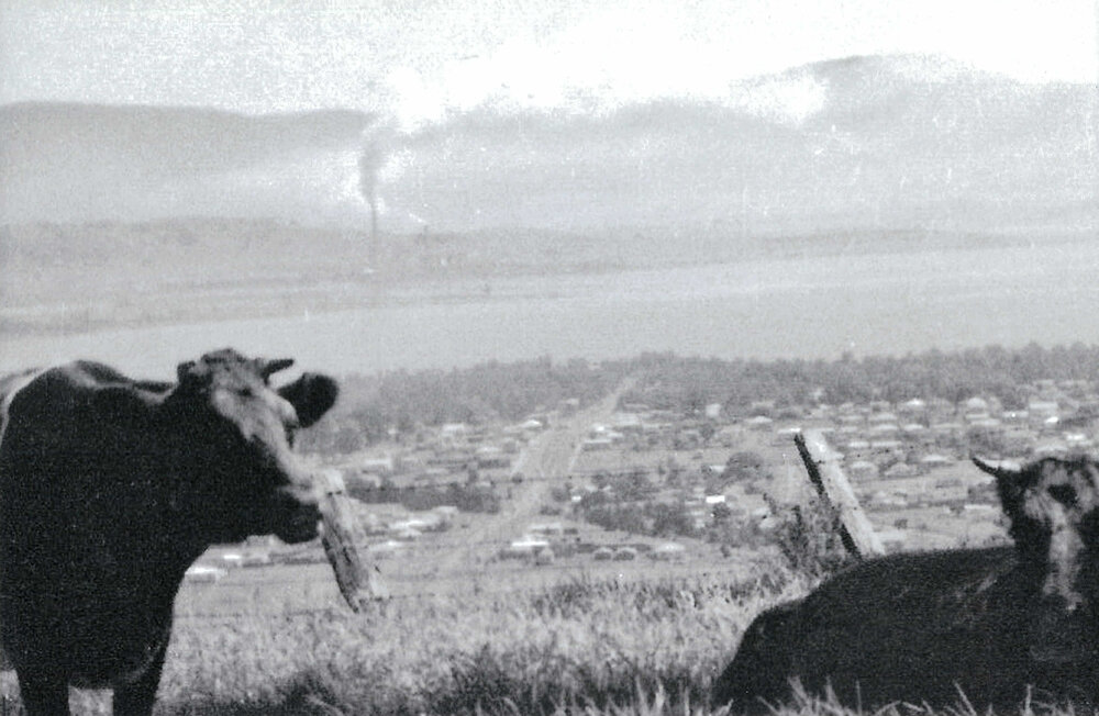 Central Avenue, Oak Flats