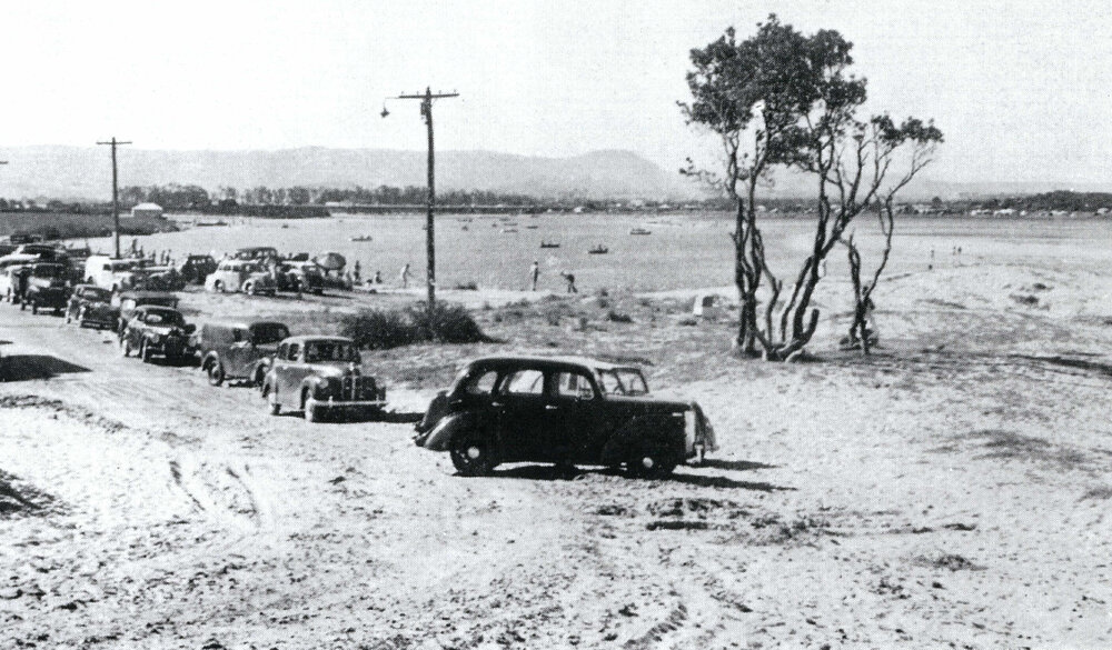 Lake Illawarra South