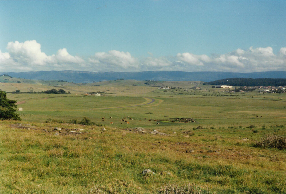 Shell Cove Estate Site