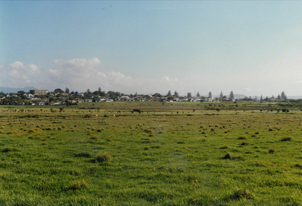 Shell Cove Estate Site