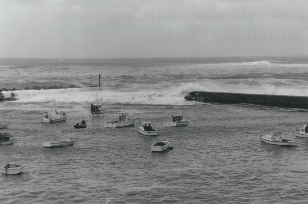 Rough Seas at Shellharbour