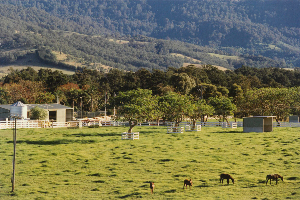 Farm, North Macquarie Road